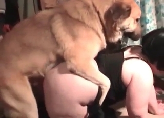 Furious beast enjoying this chick's tight pussy