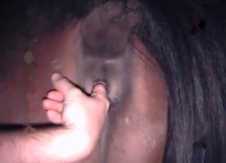 Anal fisting for a horny horse