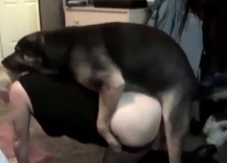 Slut's tight orifices gaped by a dog cock