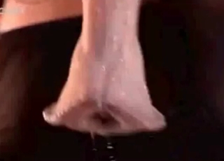 Bestiality with an innocent-looking dog