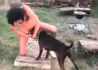 Animal dick gets serviced on cam