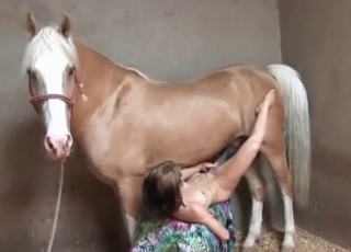 Jacked-up stallion is into bestiality sex