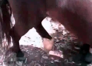 Dark-haired chick fucking a horse