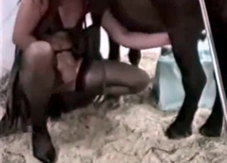 Twisted pony gets into bestiality banging