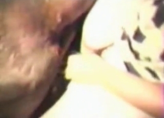 Horse destroying a hairy pussy on cam