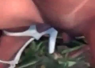 Dog's cock sucked by a dark-skinned slut