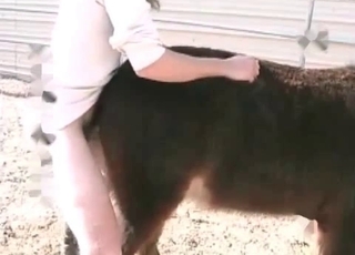 Huge cock pleasured by a horny horse