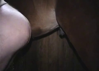 Kinky dude wants that massive elephant cock