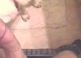 Sloppy POV blowjob from a hot doggo