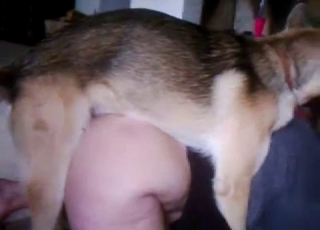 Fat booty bottom fucking a horny dog