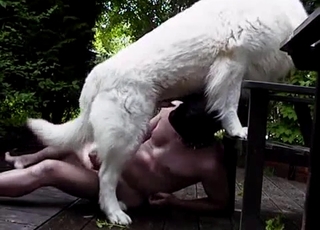 Intense face-fucking for a brunette babe