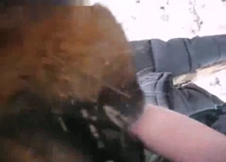 Intense BJ from a kinky animal, zoo XXX