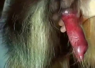 Guy flaunting that red dog cock here