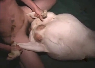 Throbbing human cock fucking a dog