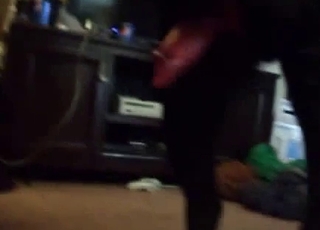 Red veiny dog dick getting teased