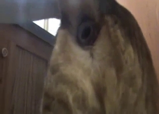 Most delicious animal hole