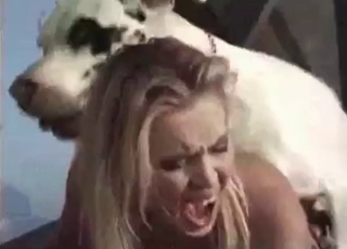 Takes dog's cock on all fours