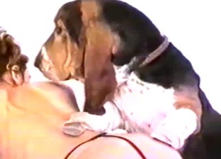 Extreme action with a horny dog