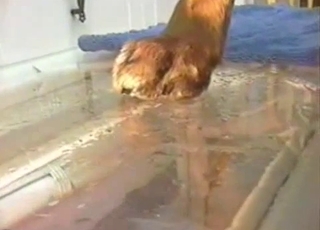 That cock deserves the close-ups