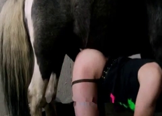 Horse cock is perfect for that hole