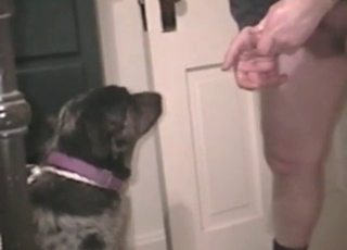 Dude and his obedient dog here