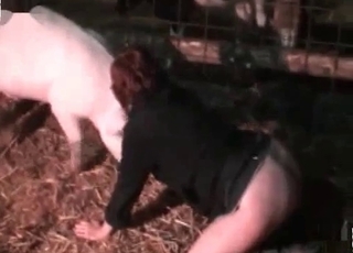 Night-time barn fucking