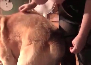 Tight pussy cutie pounded by a dog