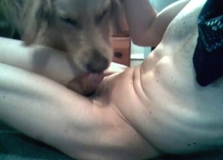 Animal licks a cock of my hubby zoophile