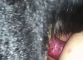 Gorgeous hardcore sex with a pretty playful animal