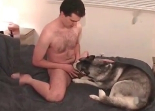 Fucking cute doggie in the ass
