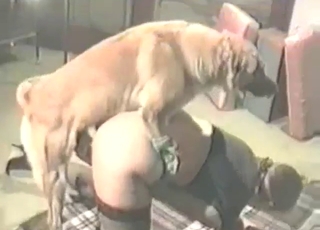 Finding out how your stepmom fucks sexy dogs