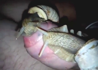 Dude is happy to fuck snails by letting them go