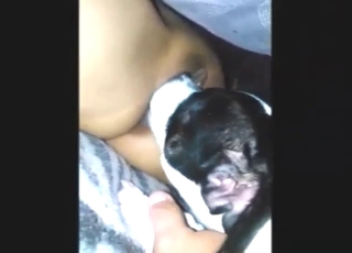 Insatiable lady is going to get licked by a doggo