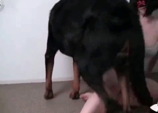 Orgy with masked bestiality addicts