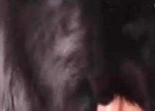 Seductive dog enjoying hardcore fucking