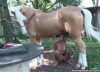 Bestiality blowjob from a horny brunette