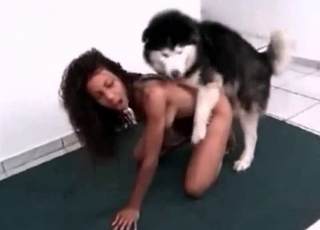 Horny husky enjoying raw bestiality