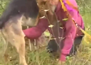 Brunette playing on the field with a sexy dog