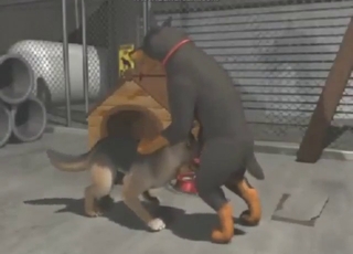 Animated dogs fucking each other silly today