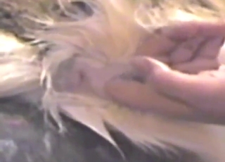 Husky fucking with lots of pleasing thrusting