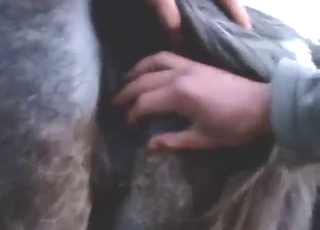 Slutty lady with big black tits wants dog tongue