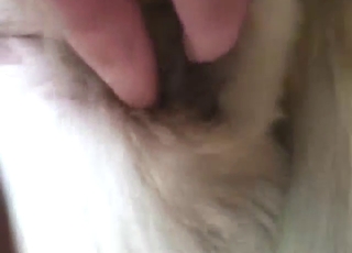 Lovely fingering session with a sexy-ass dog