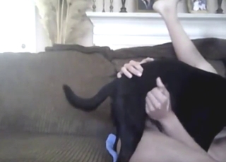 Restless black dog dick is fucking a gay guy