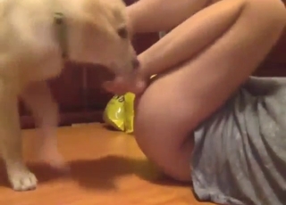 Asian mommy shows how she gets licked hard