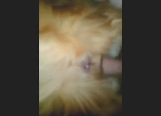 Zoo sex looks brilliant with this sexy animal