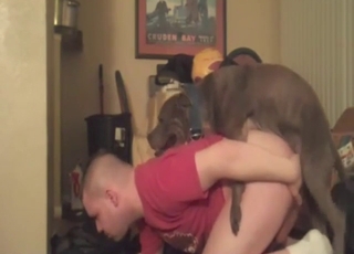 Phat booty zoophile gets fucked on all fours