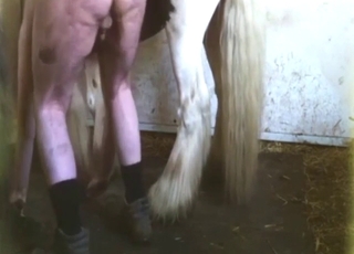 Horse with a nice dick fuck a gross, fat, old guy