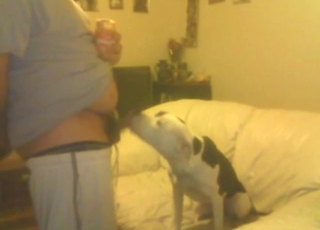 Dick of a sexy guy gets licked by a horny beast