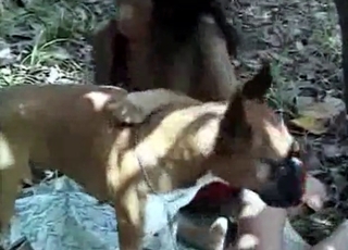 Kinky fucking with a cute-looking dog