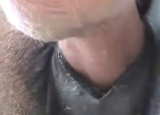 Horse's tight ass gets wrecked on cam